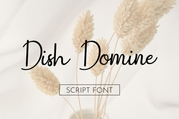 Dish Domine: A Modern Script Font for Confident Branding