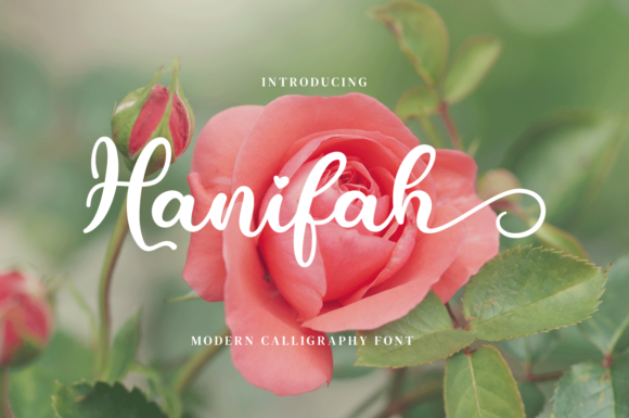 Hanifah Font: A Delicate, Flowing Script for Small Business Branding