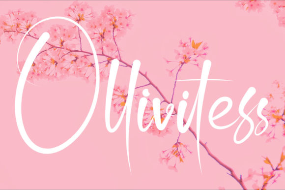 Ollivitess: A Dainty Romantic Script Font for Elegant Web Design